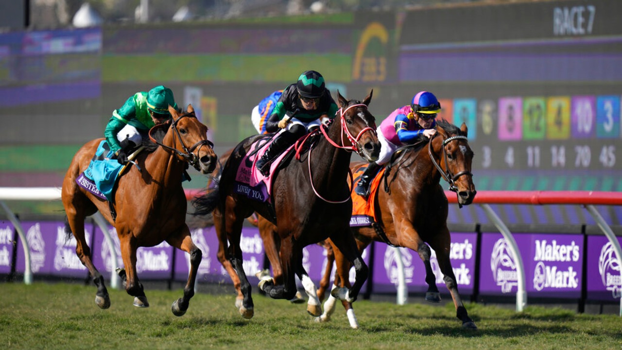 Tiercé, Quarté, Quinté: What’s the Difference and Which Bet Should You Choose?
